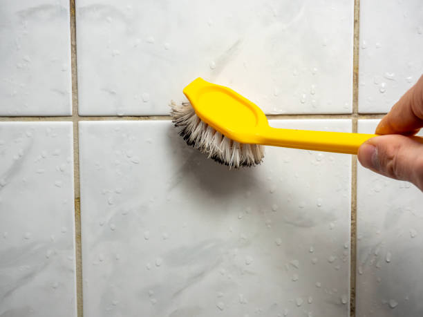 Best Same-Day Mold Removal  in Cairo, IL