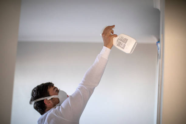 Best Mold Cleaning Services  in Cairo, IL